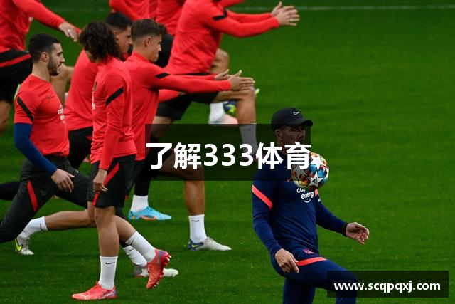 了解333体育